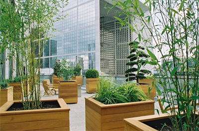 balcon terrasse végétalisé